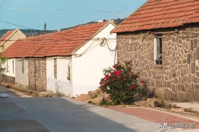 乡村恋爱小说,乡土爱情言情小说