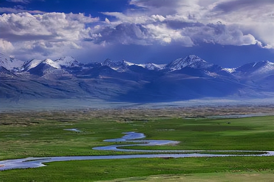 新疆姑娘回家被狼群包围,新疆姑娘遇到狼群