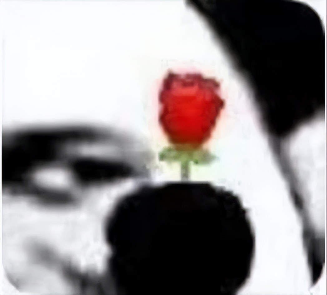 六月最后一周计划：填写“青春山东”实习招募报名表