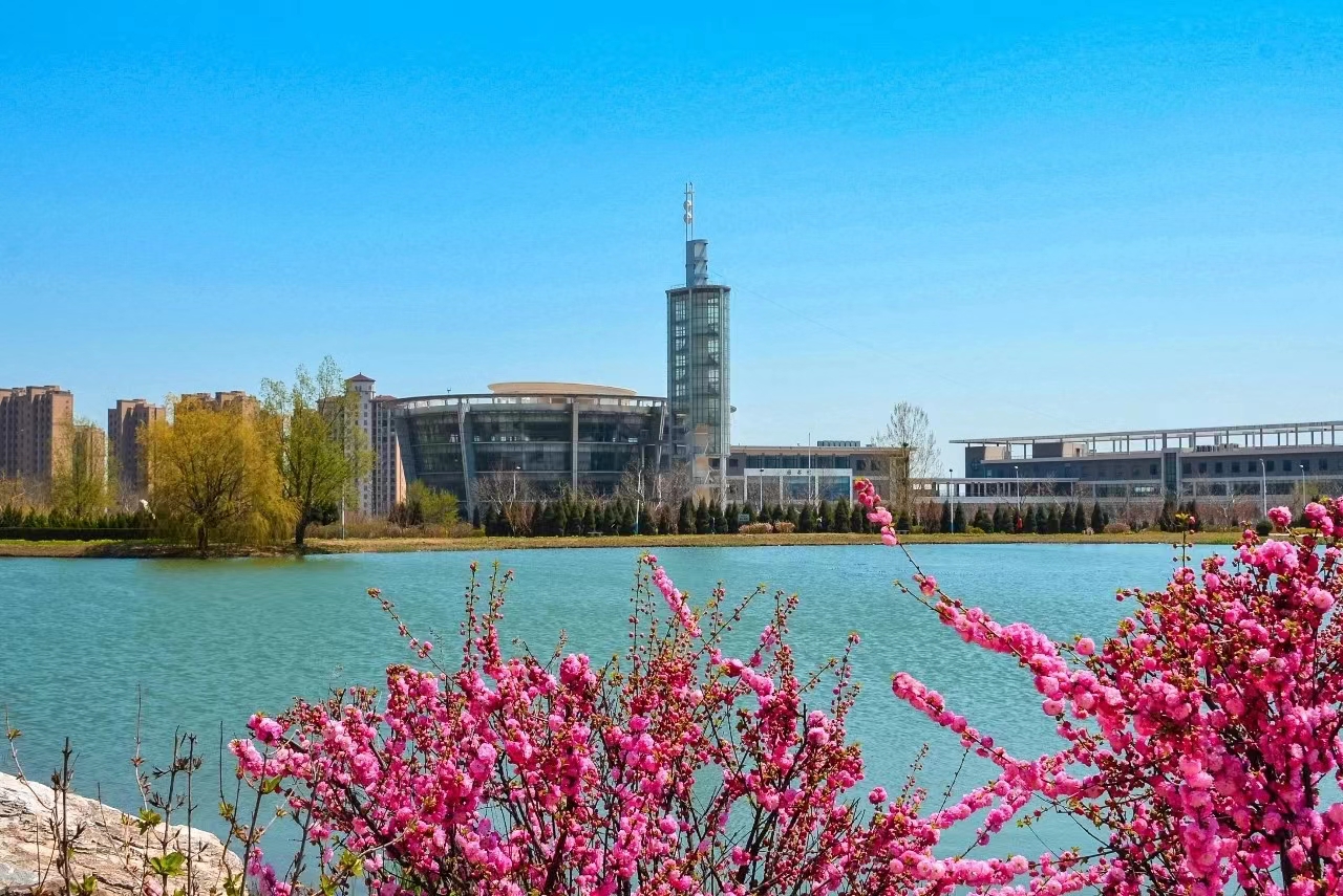 大连理工2023在辽宁招收多少人,最新大连理工大学招录消息