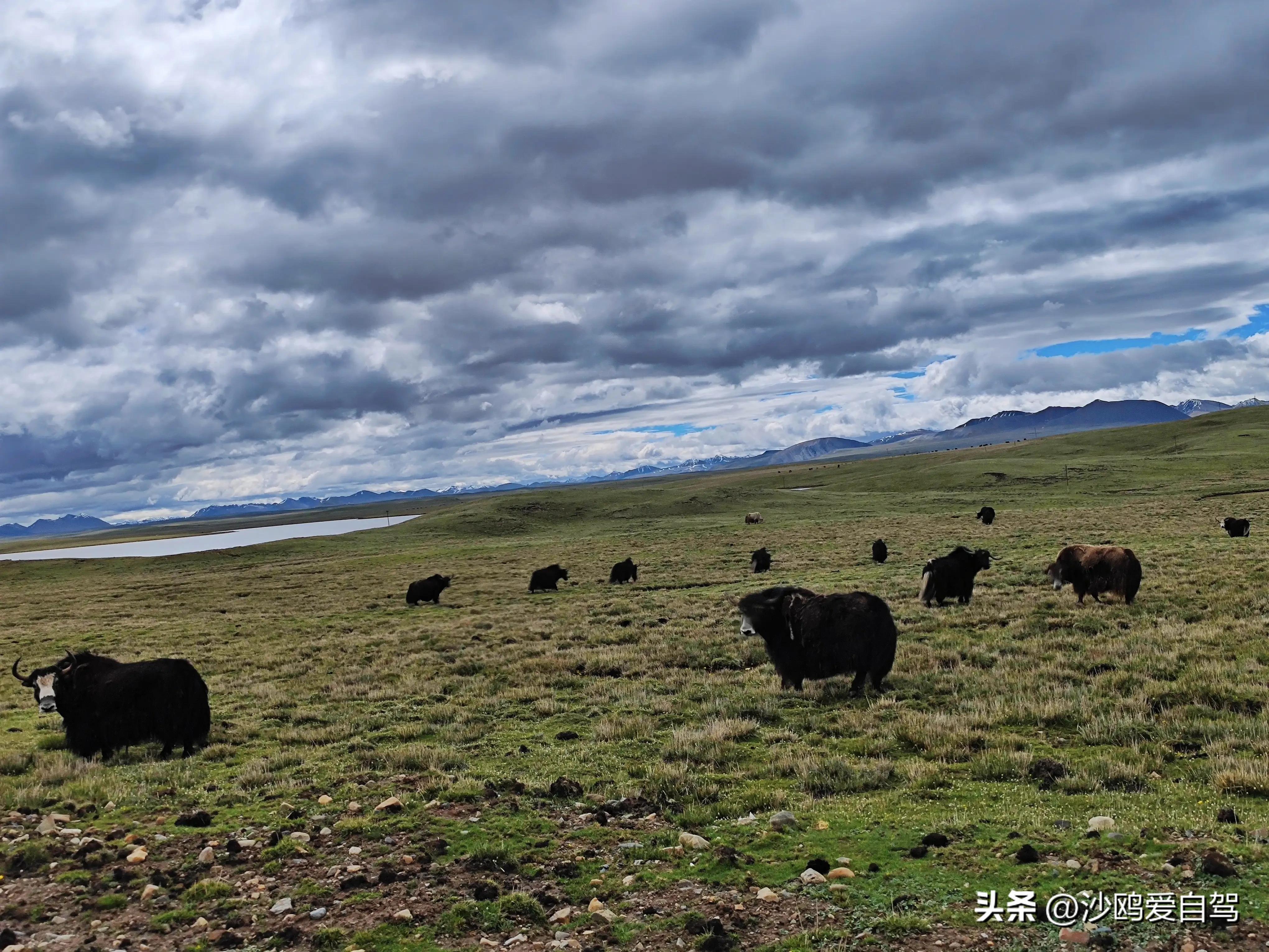 西藏自驾游三大圣湖,自驾西藏行摄之旅米堆冰川