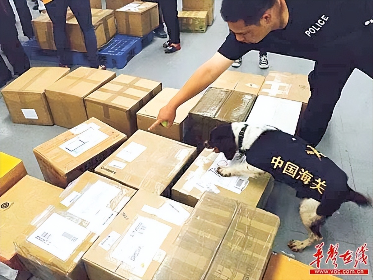 海关属于什么单位,广东海关公务员报考条件