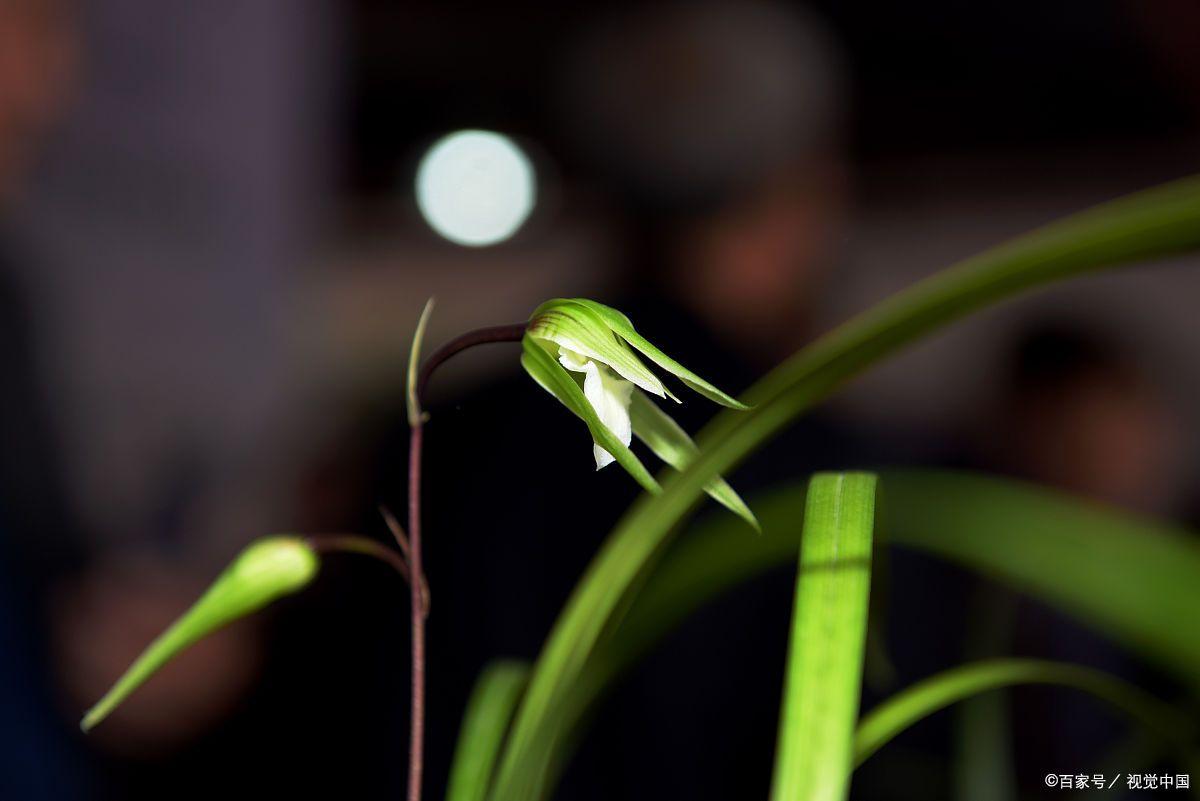 体验作文如何定题目,以考试为话题的作文题目自拟