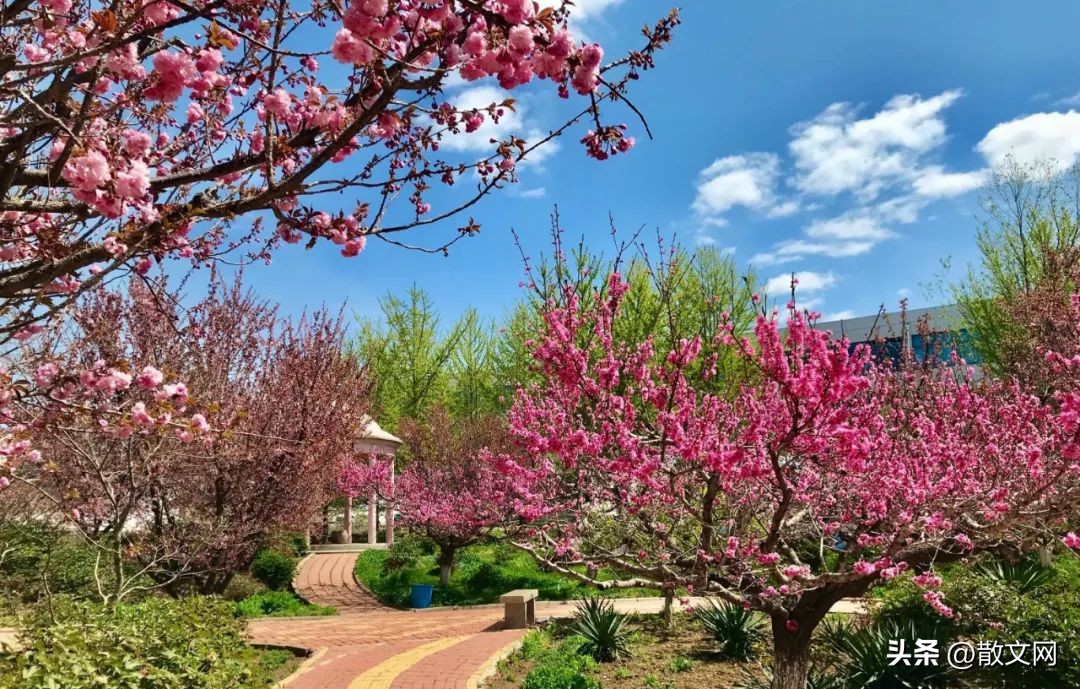 走进春天二胡独奏,走进春天歌曲