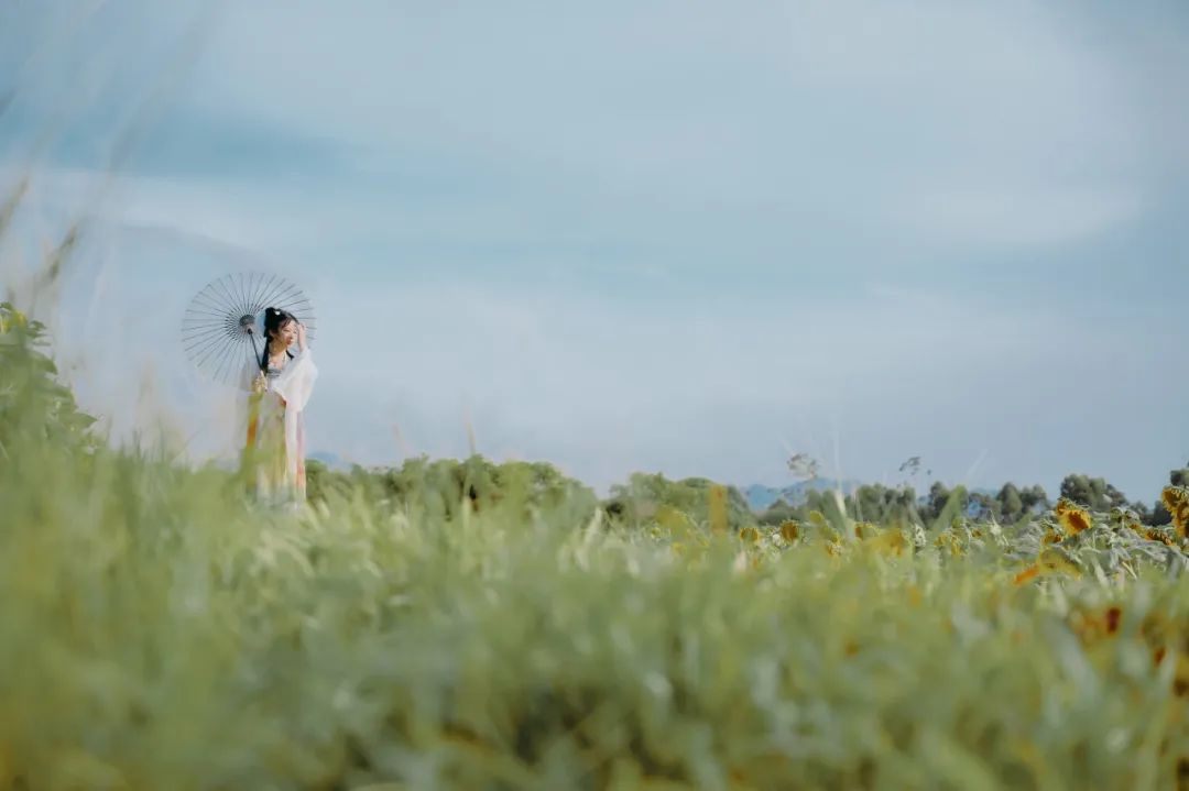 苏轼最失意的诗句却治愈了所有人,苏轼晚年孤独的诗四句