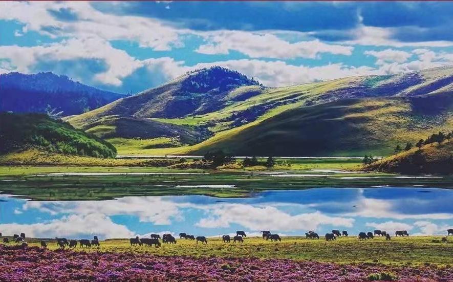 和云南一起过新年之普米族|新年举办“成丁礼”