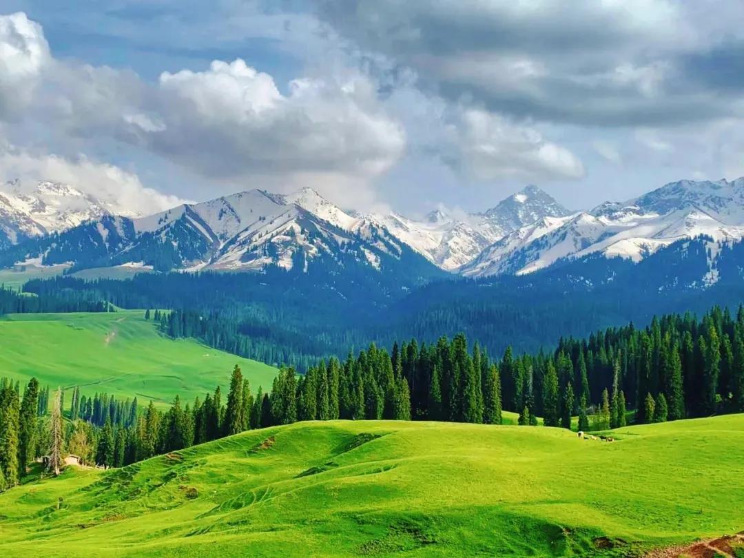 夏季旅游避暑旅行攻略大全,8月避暑旅游最佳地方国内3-5天