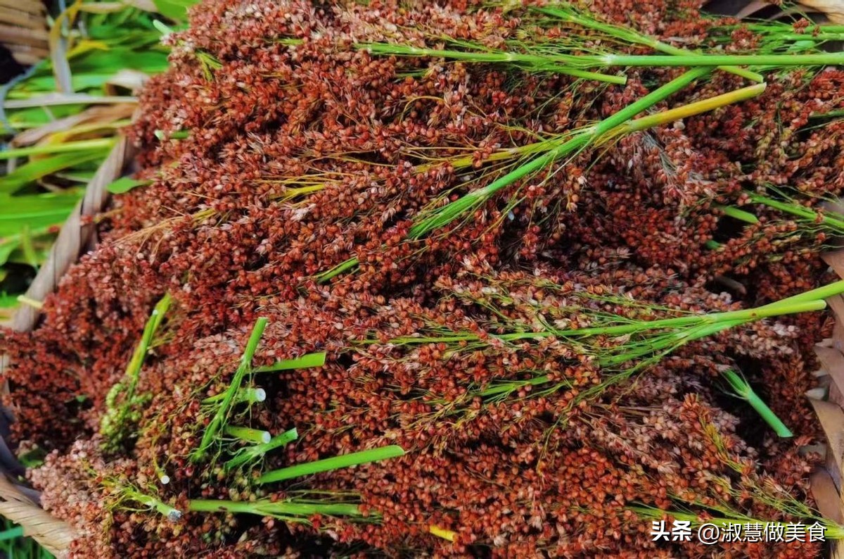 真假茅台对比，注意这3个细节，远离多数假酒，一分钟就能学会