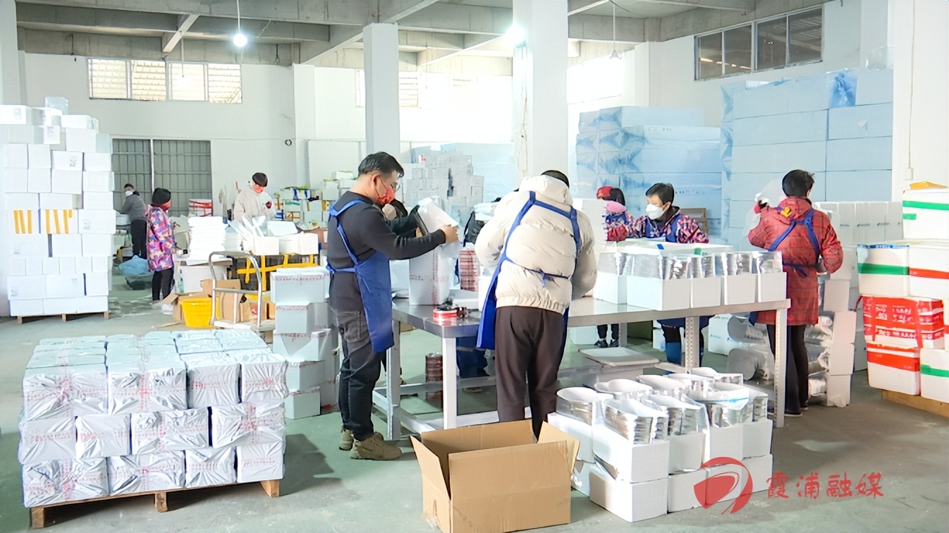 福建政和返乡创业致富,霞浦大学生创业开店