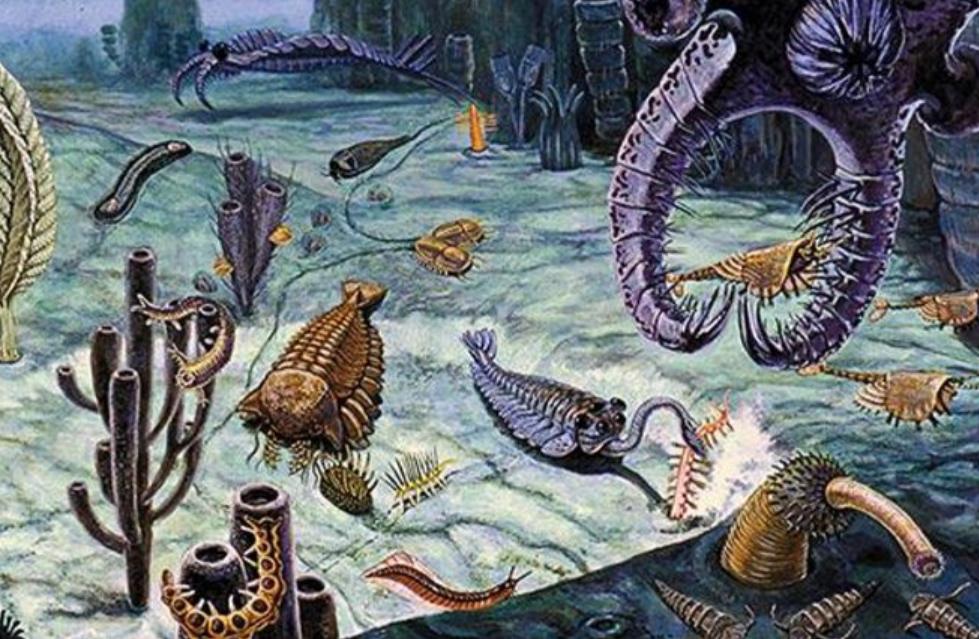 一个人来到世上的几率有多大,一个人来到世上真实的概率