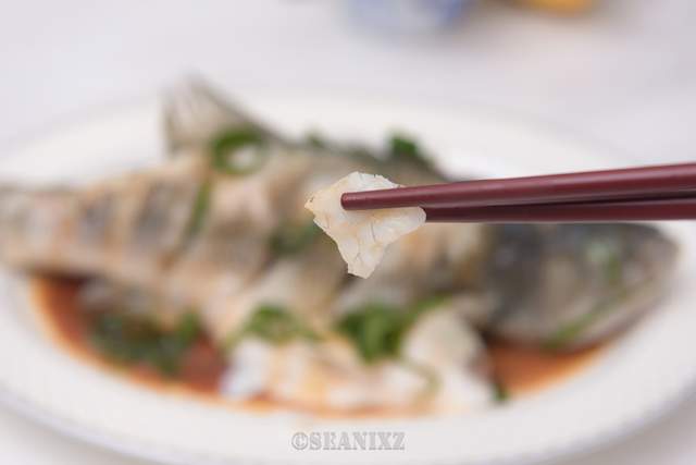 大宇k9和大厨db610d蒸烤箱哪个好,大宇蒸烤箱k7和k9