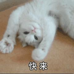 答题领红包官方入口,答题领红包有礼