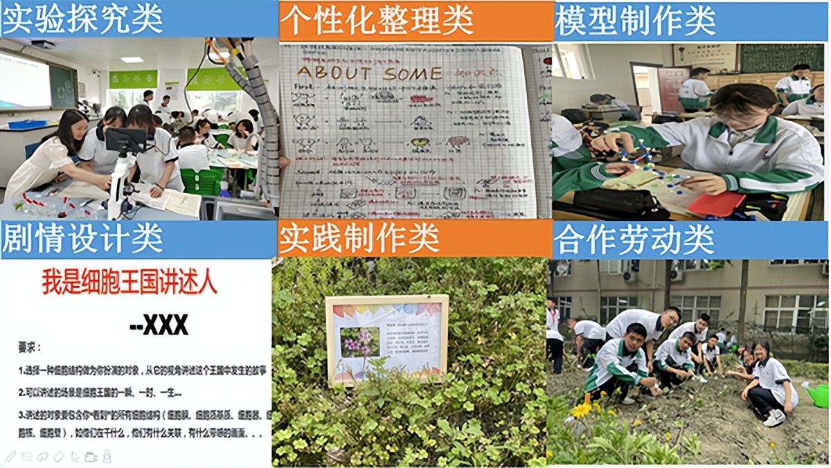 双减政策下课堂教学提质增效,课堂提质增效经验交流发言材料