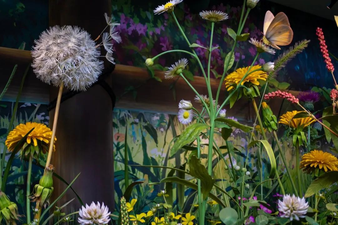 宫崎骏退休发布会,82岁宫崎骏退休之作定档