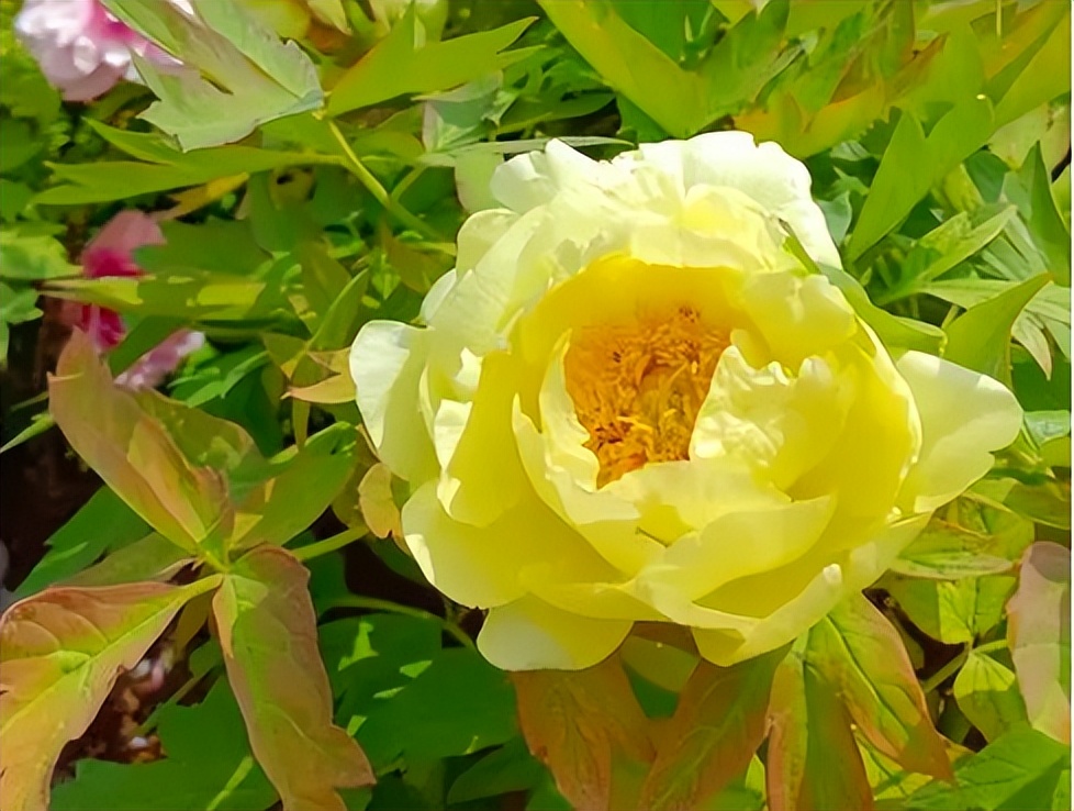 5天时间郑州出发适合去哪玩自驾,郑州到太行山一号公路自驾路线图