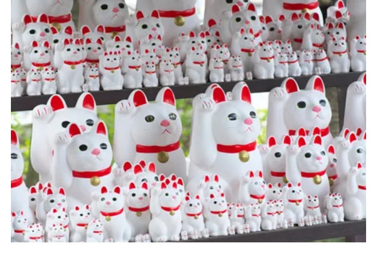 为什么只有流浪猫没有流浪狗,为什么只有招财猫