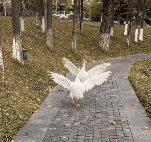 五一攻略,五一超强省钱攻略