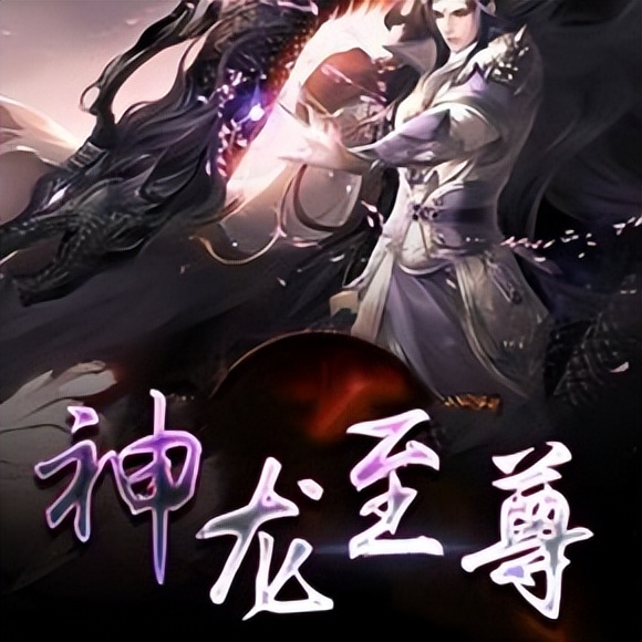 3本极品都市小说《神龙至尊》最强兵王逆天操作看得你酣畅淋漓！