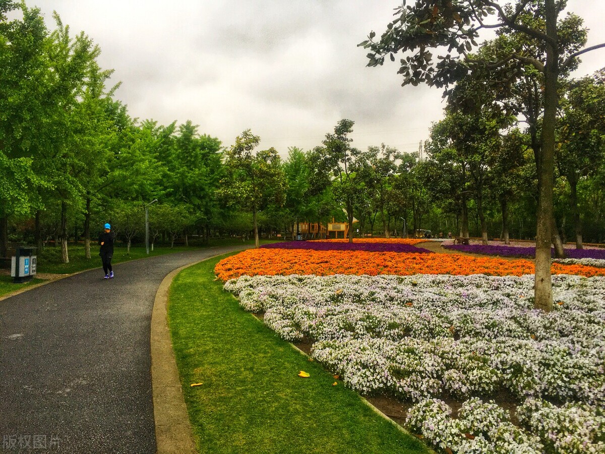 上海踏青2022,上海踏青最佳景点2021