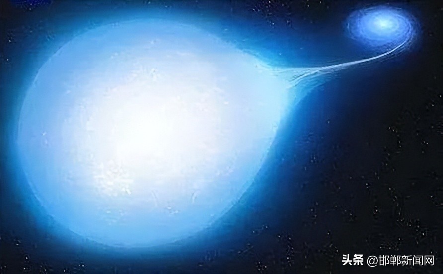 新增4处抓拍！邯郸有个“水鸟天堂”！警惕此传染病！2月12日邯郸新闻早报