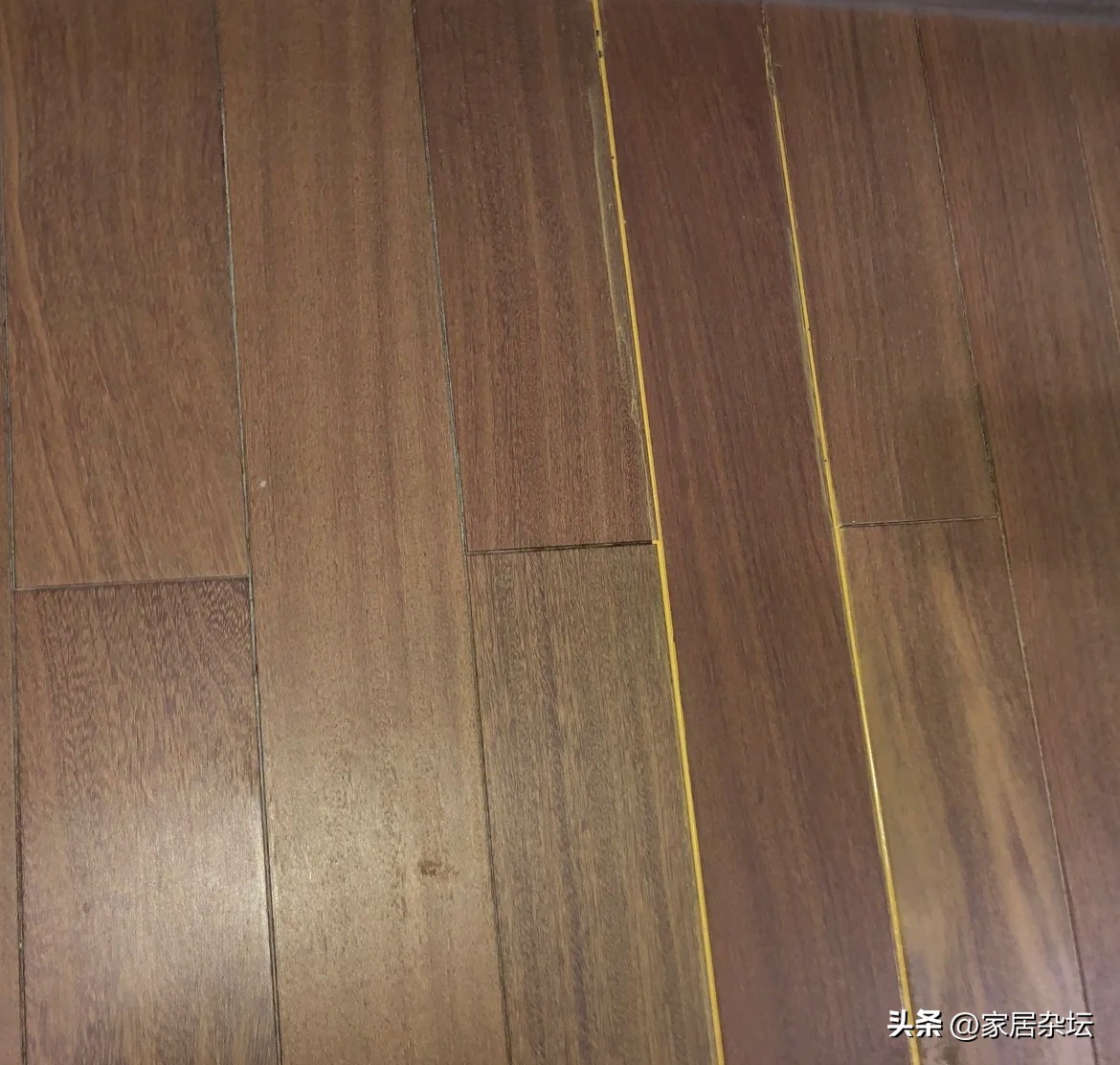 若再装木地板,建议坚持“5不装”,不是误导,都是教训的总结