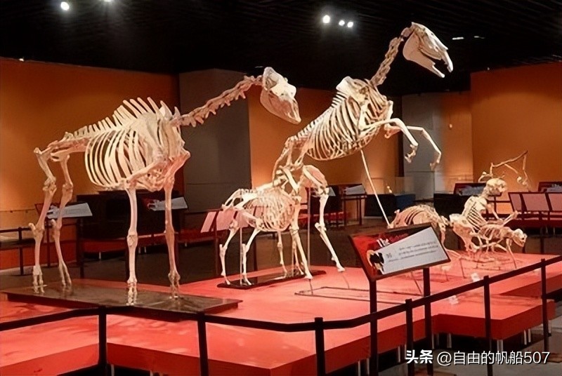 辽宁省大连市沙河口区简介,辽宁省大连市沙河口区春柳