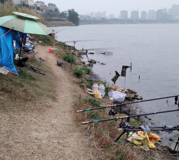 南宁邕江边现职业钓鱼人,一天卖鱼五六百,既能玩又能赚钱你羡慕么