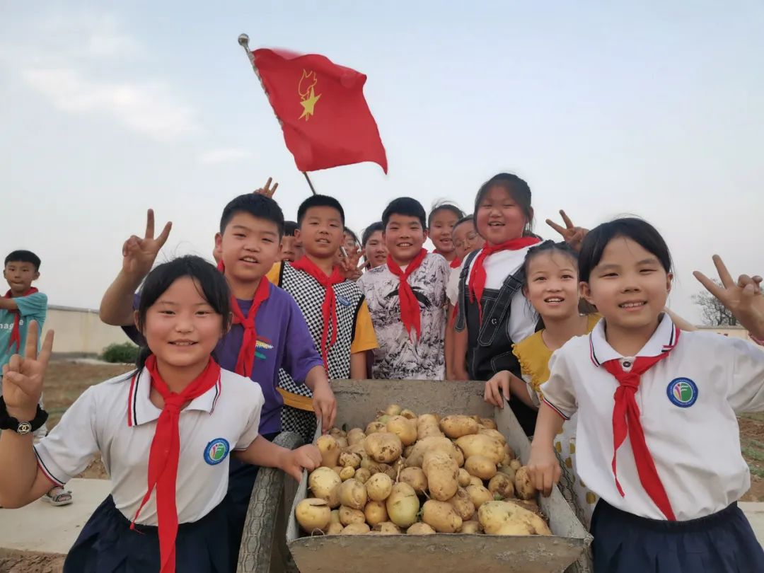 “土”露汗水“豆”耘童年——东风小学劳动教育实践活动之土豆丰收季