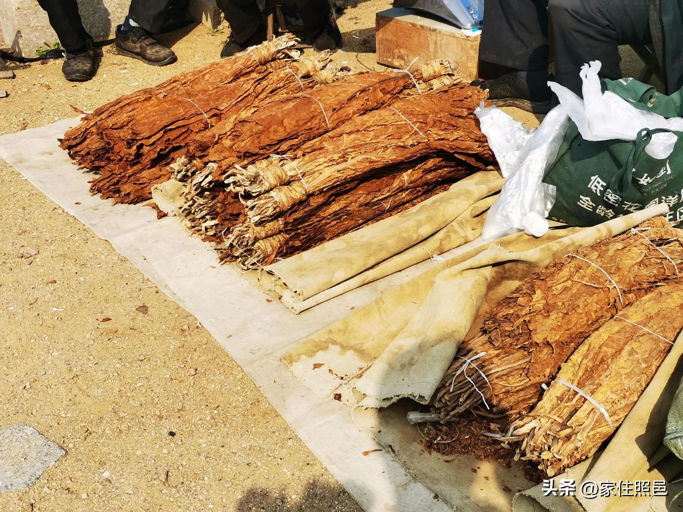 海曲岁月寻访海曲中路98号市*草烟**专卖局*草烟**公司往事