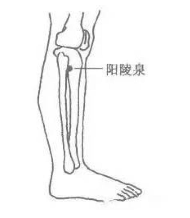 失眠按哪个穴位能缓解,治疗失眠的妙招按穴位