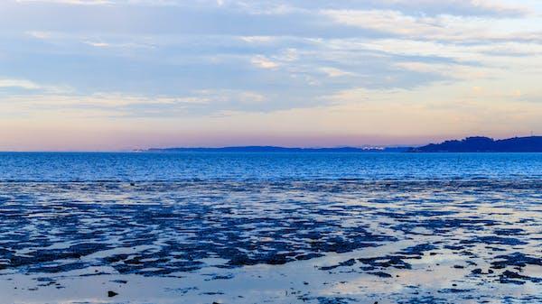 纪念建军节军歌视频,八一建军节军歌有哪些