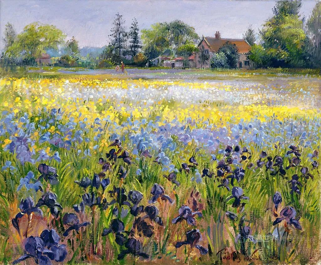 欧洲绝美花园,伦敦美丽的花园美景