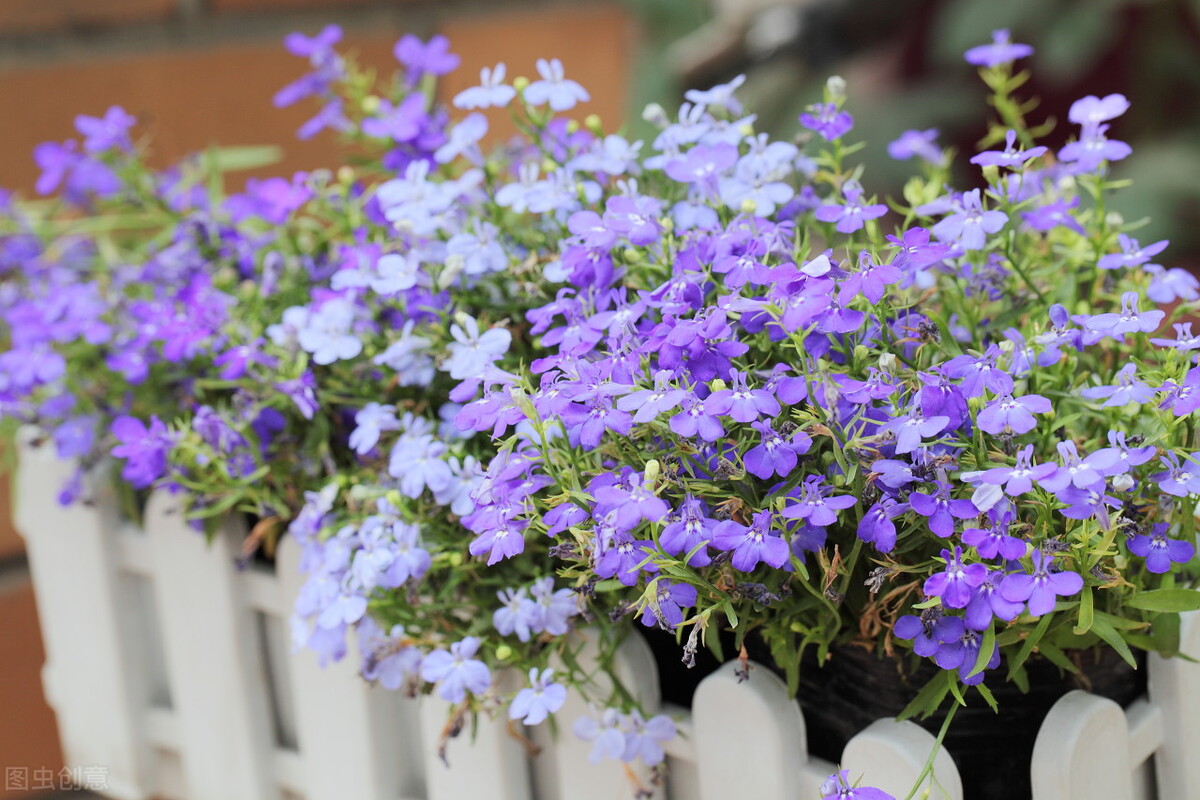 退休后没有朋友就幸福了,退休后没有一个朋友