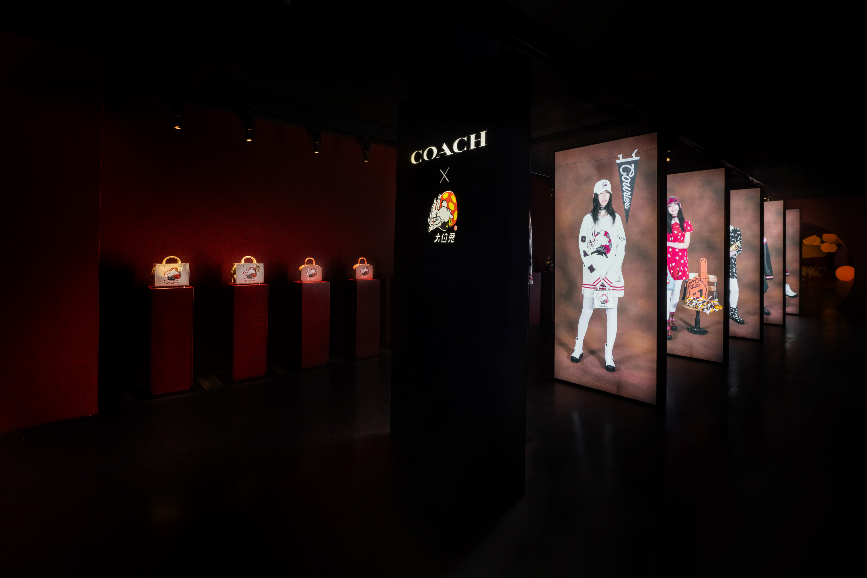 群星助阵,各大明星助阵开幕式