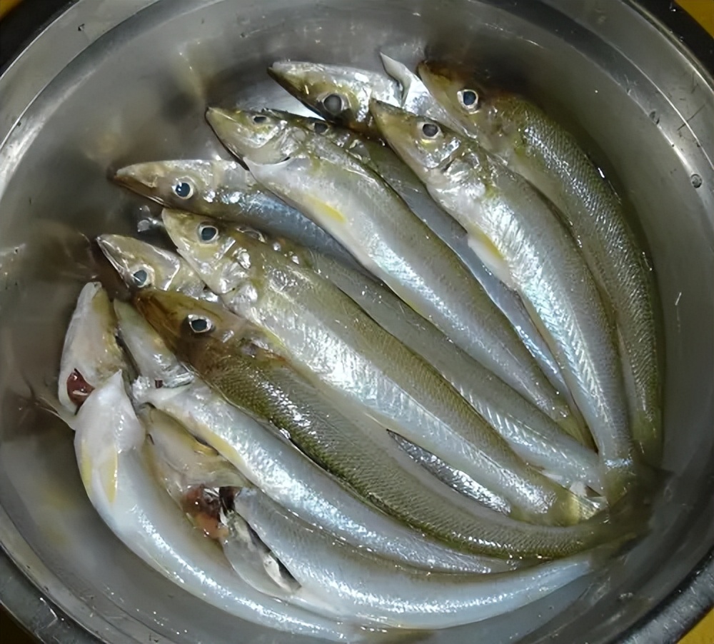 浅海滩海鱼钓法,常见海鱼钓法