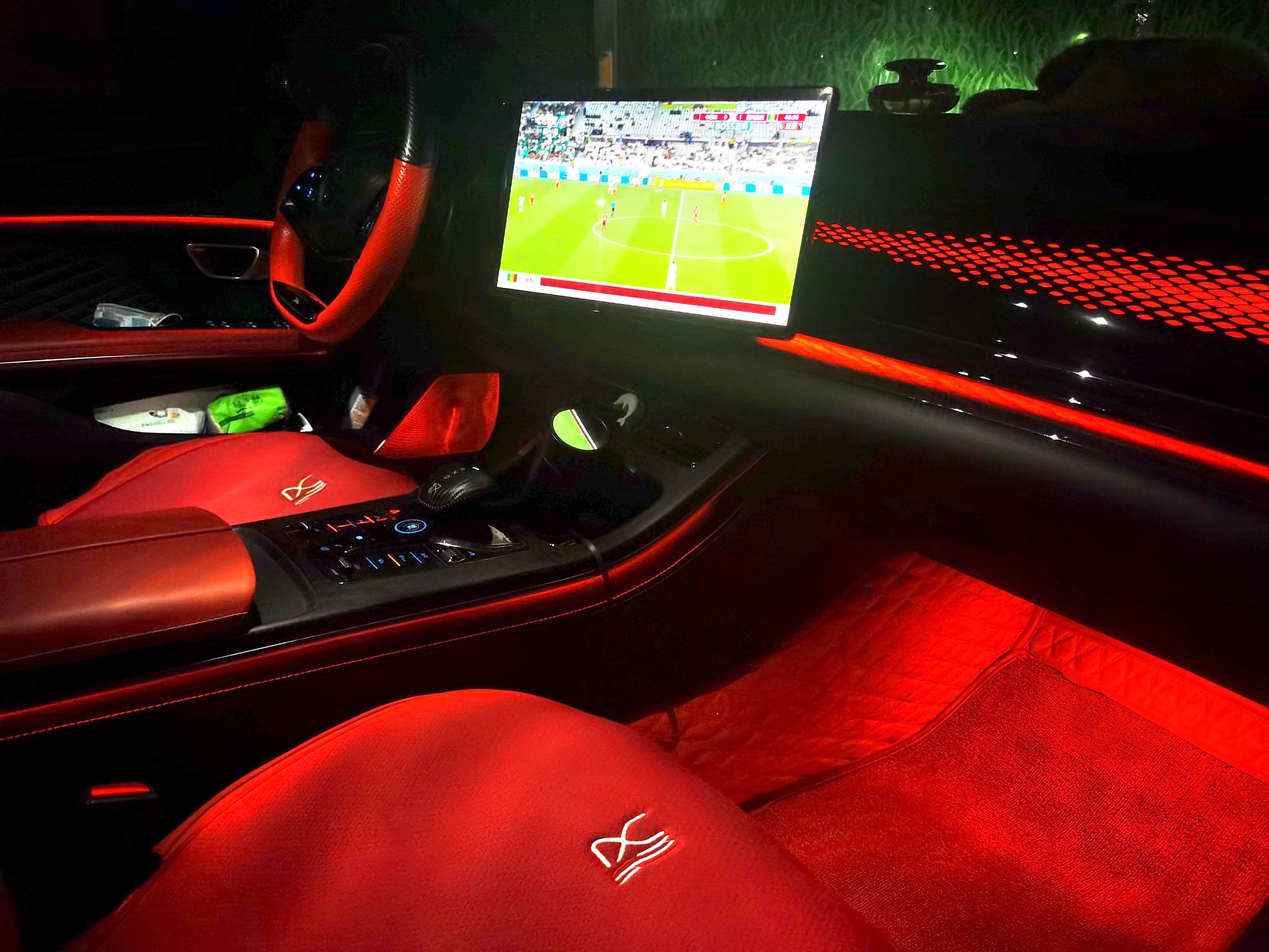 绽放巴黎在哪儿看,2022世界杯看球最好的位置