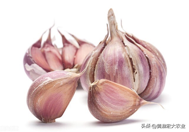 蒜通天下达人连线，关于2022年大蒜市场的一些看法