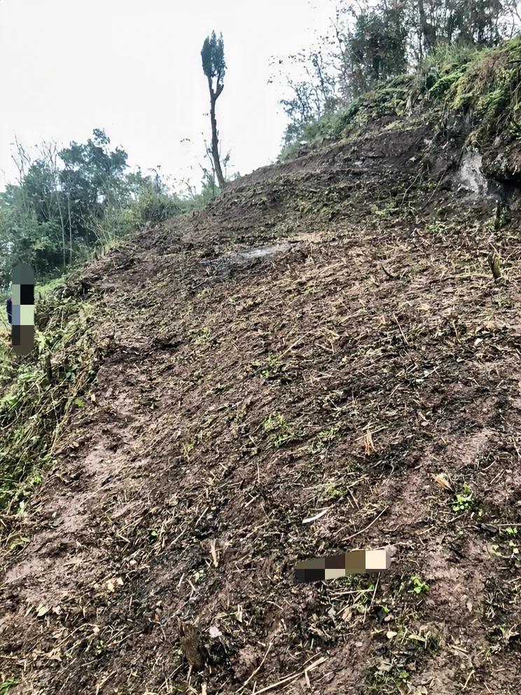 如何破解土地荒废,农村土地问题怎么破