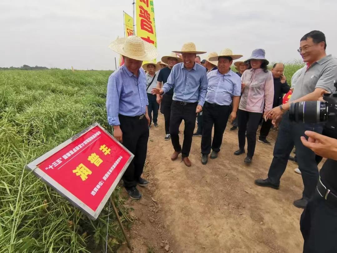 最美“油菜人”|韦世豪：耕耘在油菜田间的“魔法师”