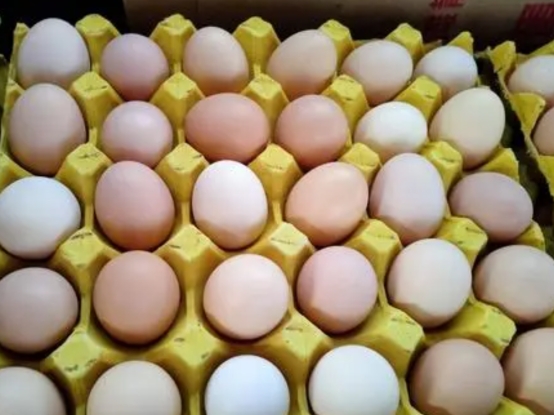 鸡蛋买回来要不要洗一下再放冰箱,鸡蛋买回家就放进冰箱