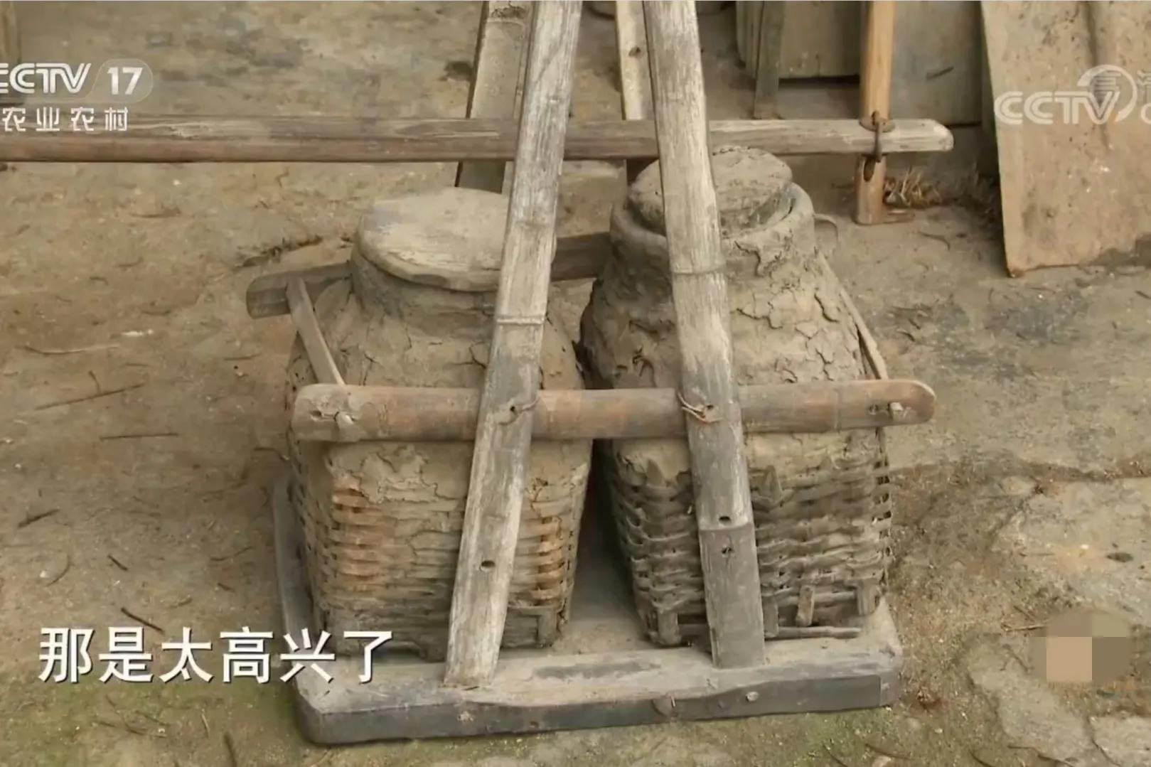 湖南种油茶致富,湖南90后小伙回乡种油茶