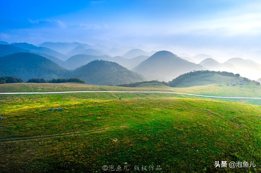 襄阳成人高考作文必背十篇,襄阳四中五中2020高考作文