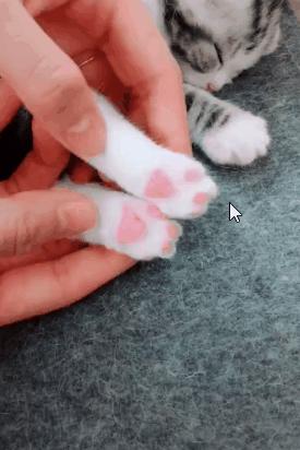 生物老师是女的,生物老师是个女的