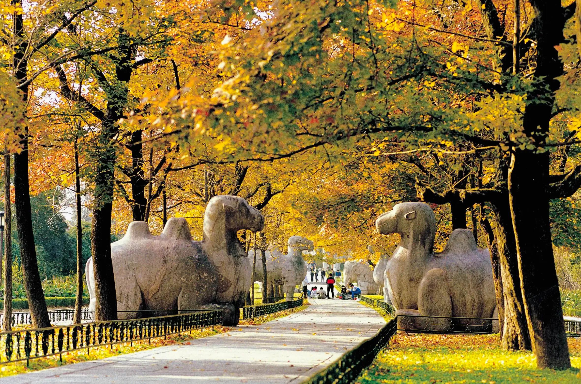 明朝后宫风云,明末风云妃子篇