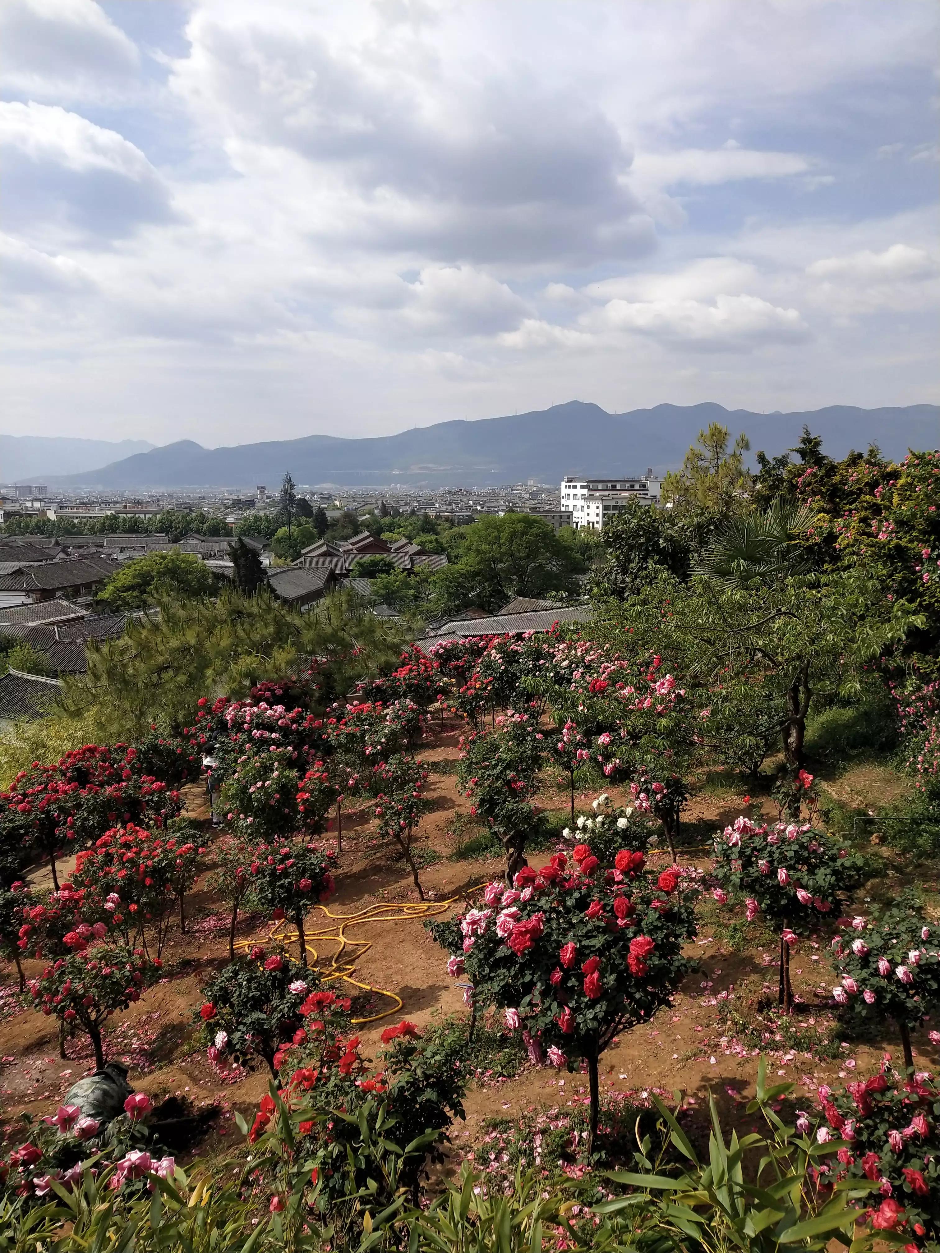 云南自驾游收费标准,云南租车费用明细