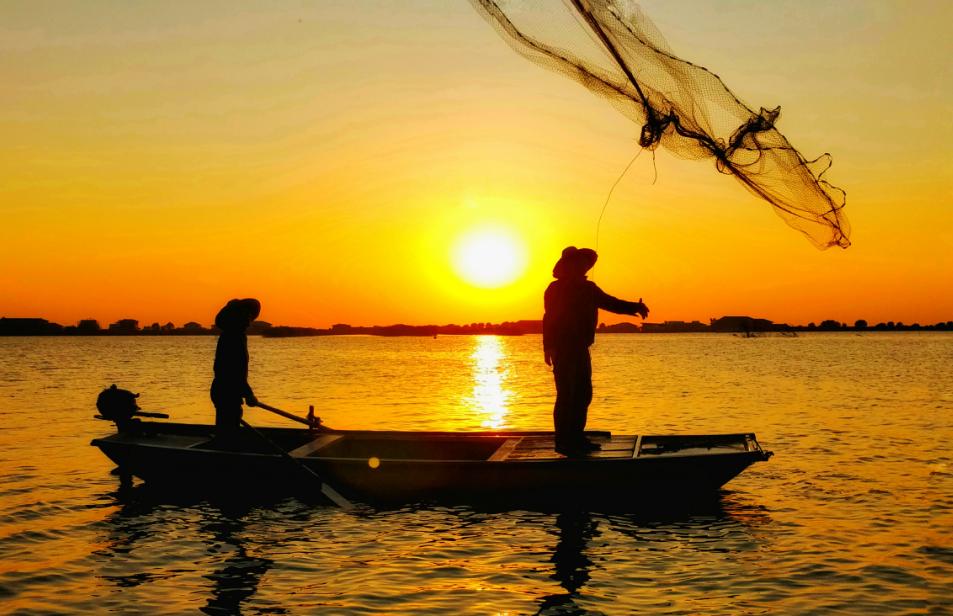 怎么撒网捕大鱼视频,三人撒网捕获大鱼