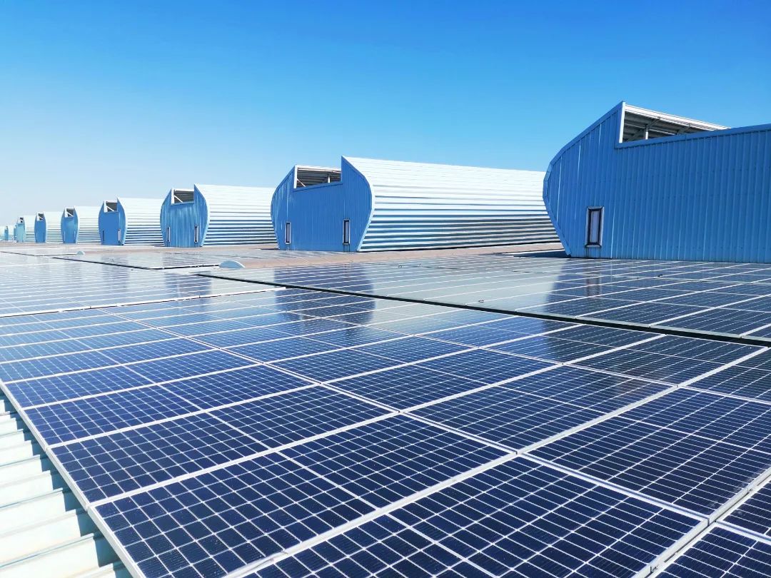 「走进绿色钢城」新天钢：以昂扬姿态向社会展示“工业之伟力，生态之和谐”