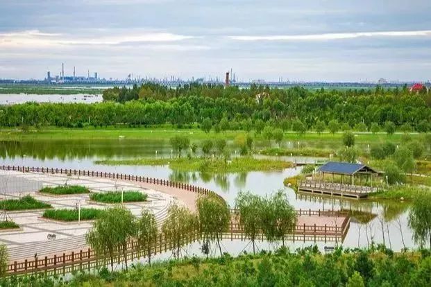 湿地可以开发什么旅游项目,黑龙江旅游必去十大湿地排名