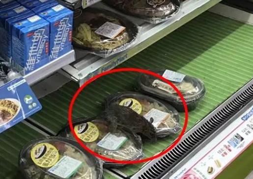 上海多地出现巨型老鼠新闻报道,上海老鼠最小的有10斤是真的吗