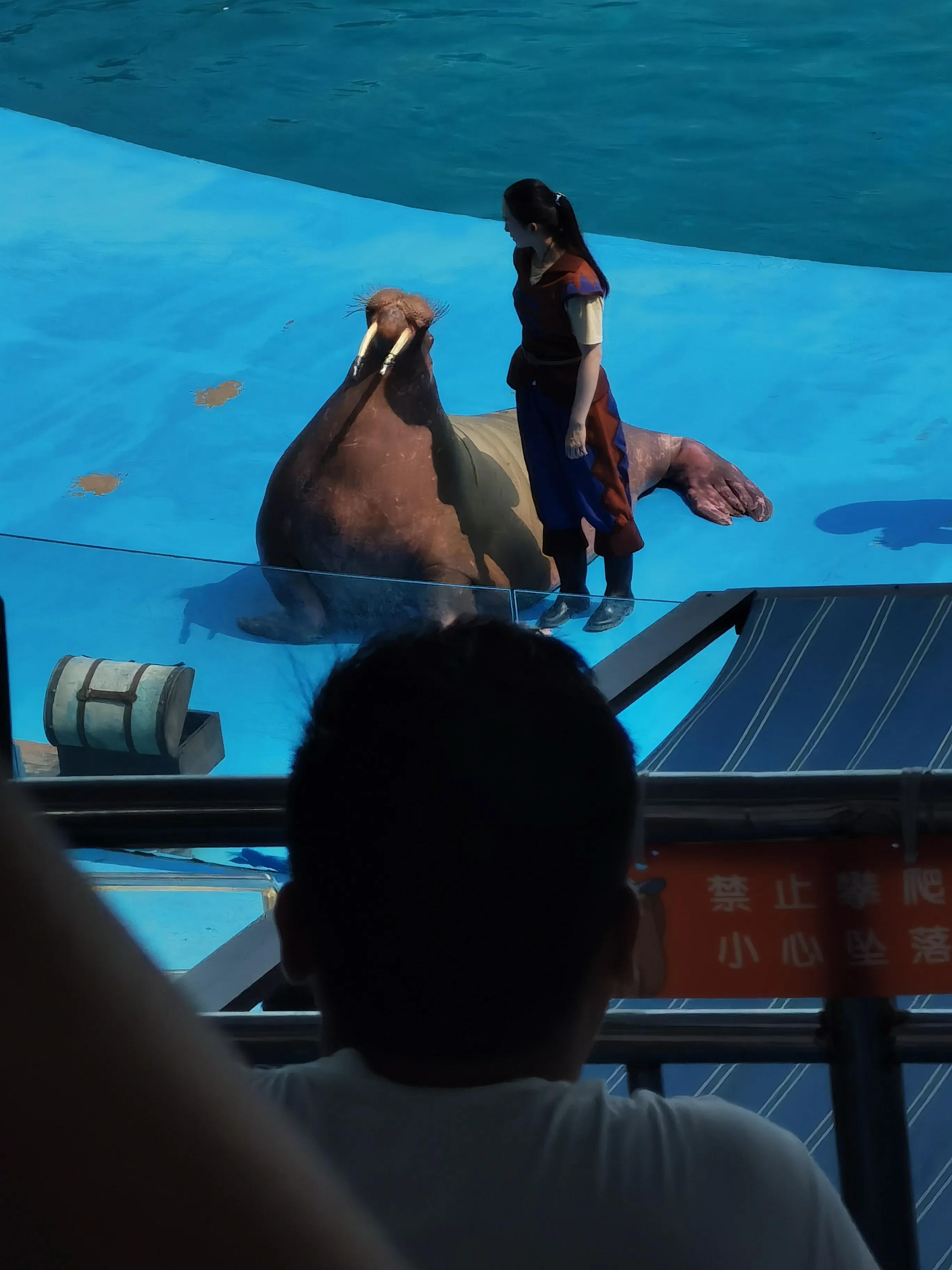 青岛游记摄影,青岛游记